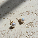Pearl Studs 8 mm