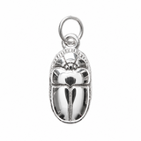 A polished silver beetle-shaped pendant charm with a hanging loop, shown on a clean, light off-white textured background.