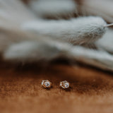 Emily Cubic Studs | 14k Solid Gold